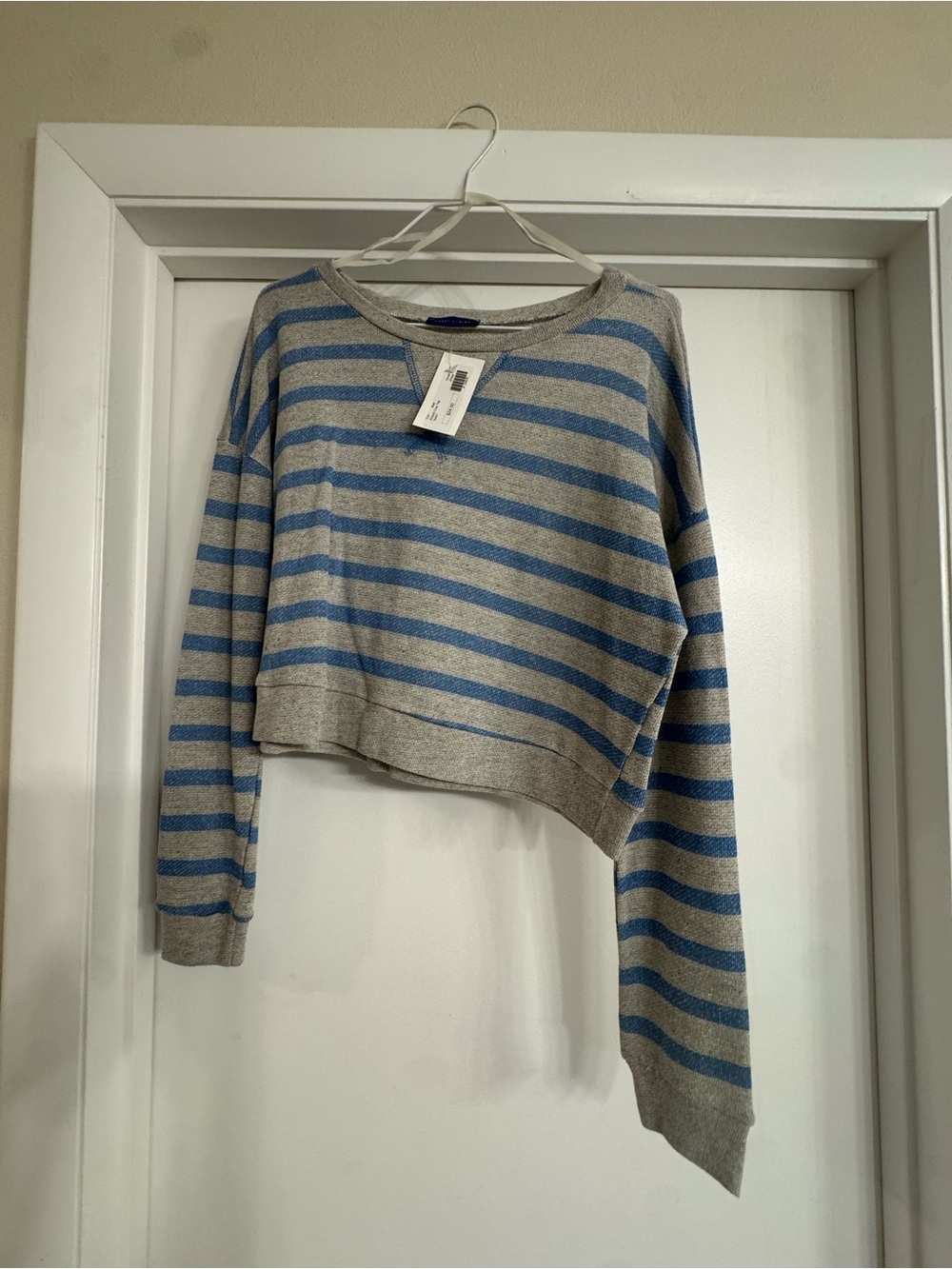 Sweet Claire Striped Cropped Crewneck Sweater - Gray & Blue